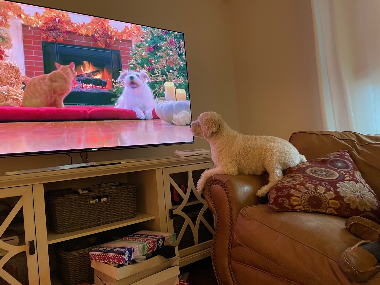 2020-12-25-clark-tv photo