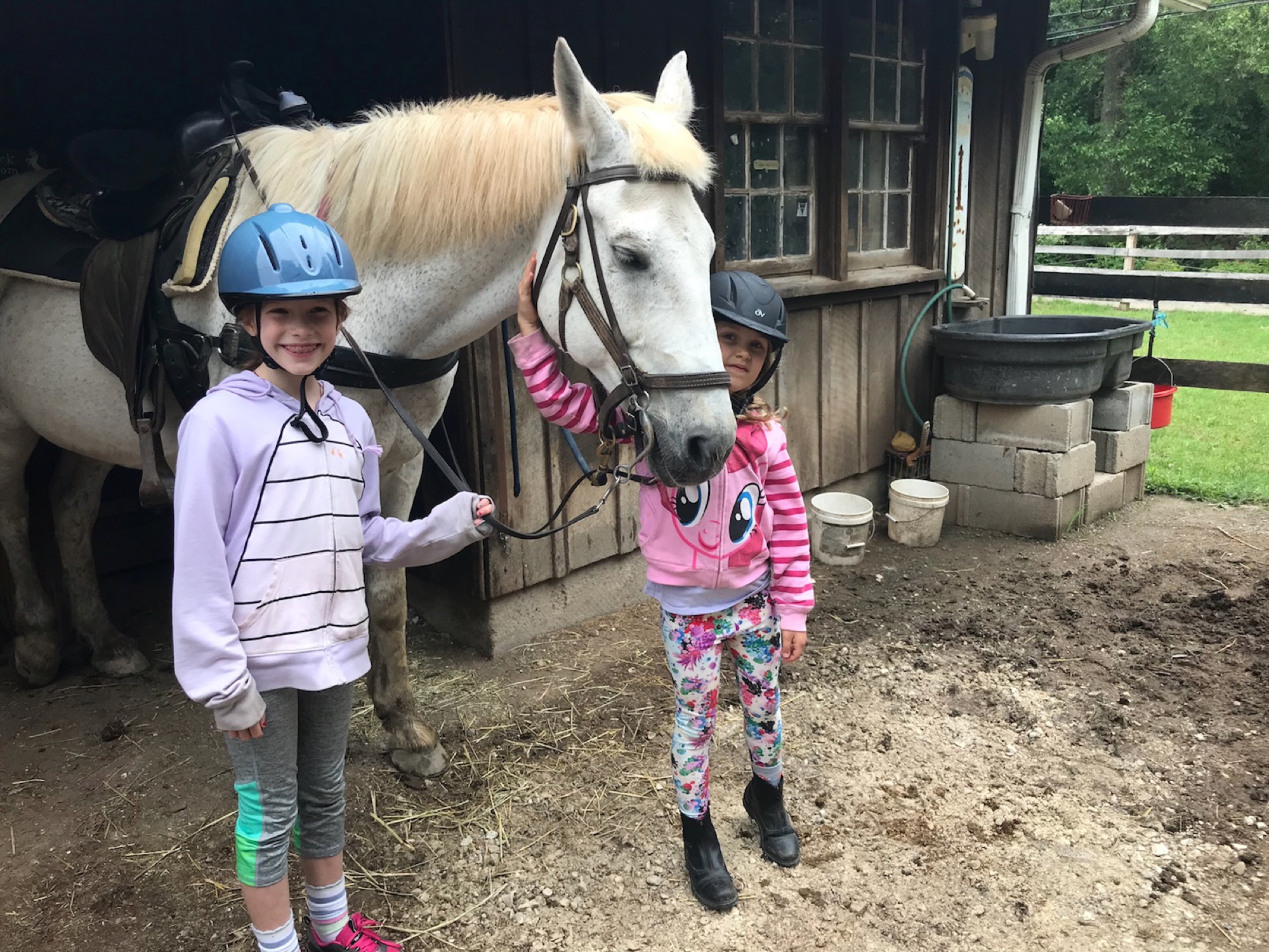 2018-06-09-meg-horse01 photo