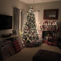 Merry Christmas 2016