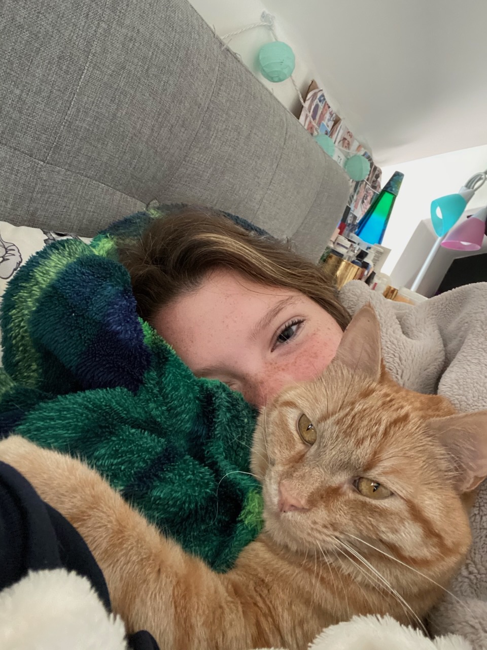 2020-09-20-cat-is-ok photo